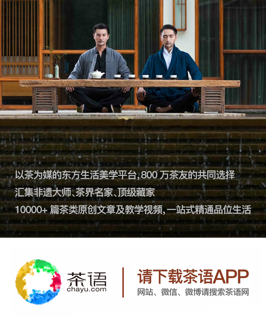 铁观音浓香型茶推荐,铁观音茶叶榜