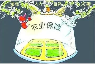 农业未来5年的商机,农业产能过剩带来的商机