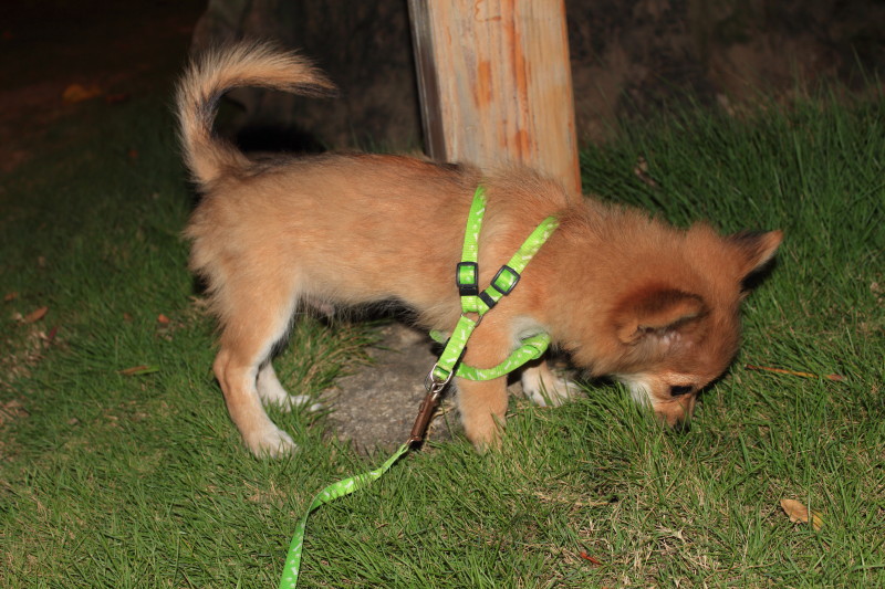 650d佳能2018年还能干嘛,2013佳能650d