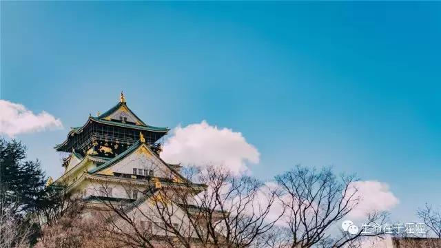 拉面 · 自动贩售机 · 雪｜云之彼岸的日本欢脱之旅