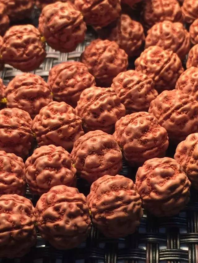 金刚圈子里混三年，这些品种都够呛能认全！