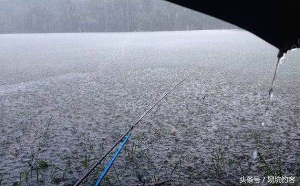 不同天气怎么钓鱼视频,不同天气怎么钓鱼最好看