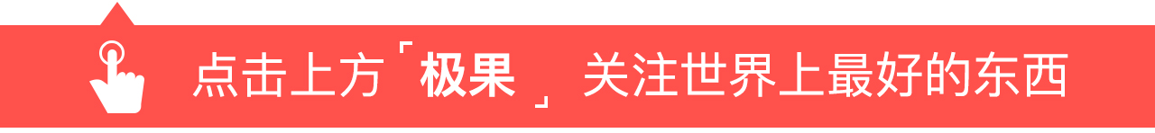 章子怡穿紫色洋装亮相秀场,章子怡巴黎时装周包包