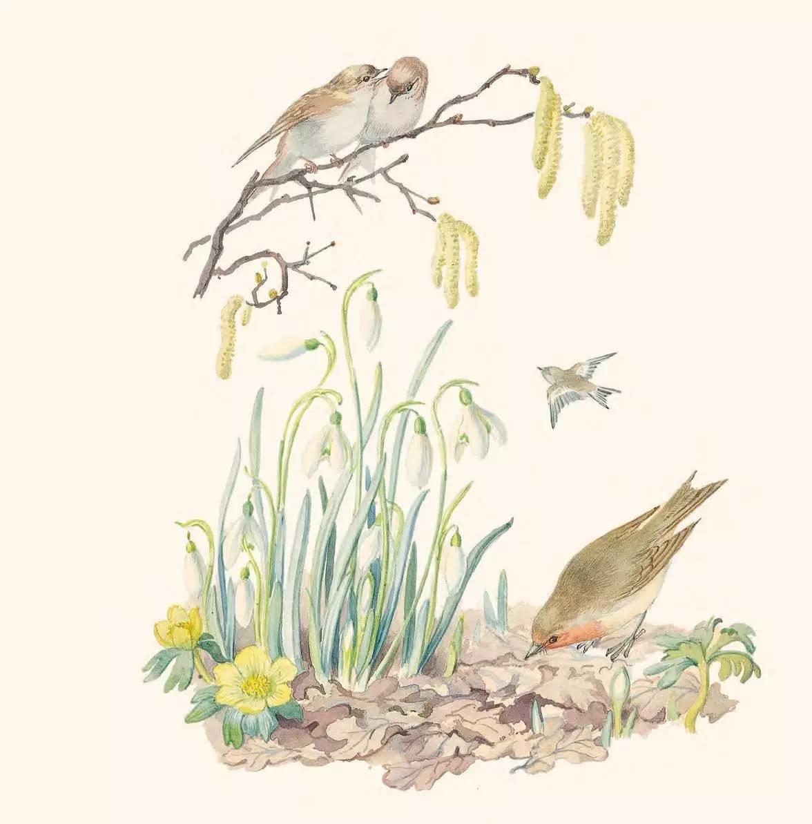 英伦乡野手记,英伦乡野手记读后感