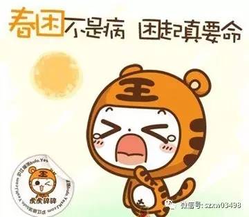 两贼凌晨客车盗窃,两贼偷电瓶车后续