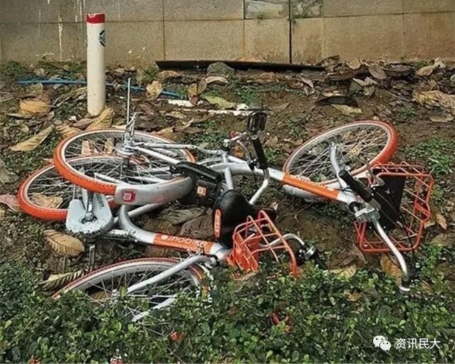 中国的共享单车有哪些,市面上有哪几种共享单车