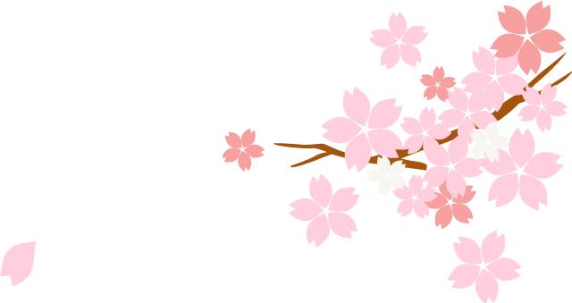 做阿胶枣的方法,气血虚多吃阿胶枣