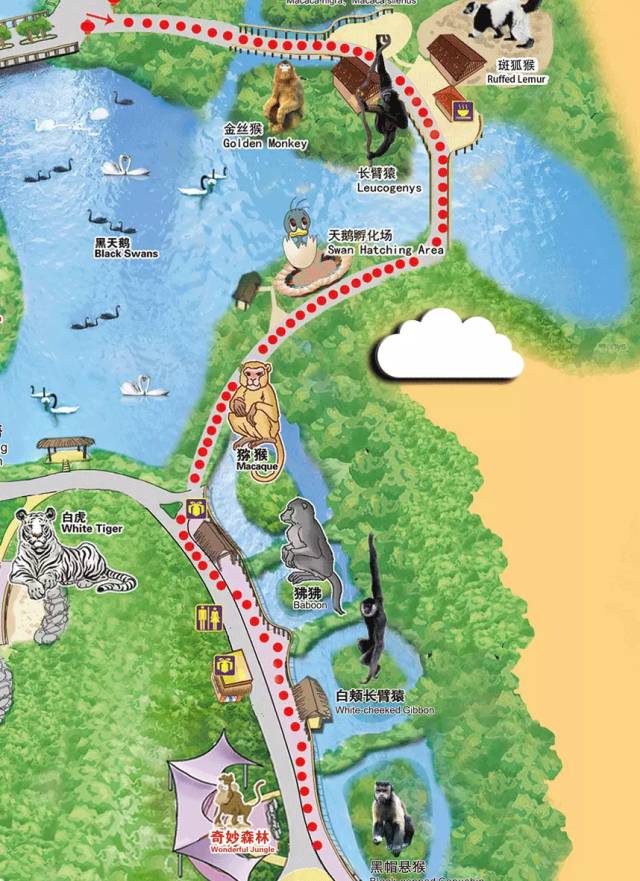 广州长隆野生动物园真实评价,广州长隆野生动物园讲解动物