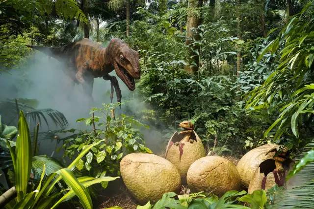 广州长隆野生动物园真实评价,广州长隆野生动物园讲解动物