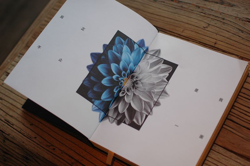 性价比高的全面屏手机评测,正面屏幕观感最好的手机