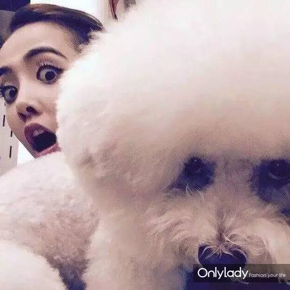 私人飞机？名牌包包？明星合影？这些宠物竟然这么大牌！