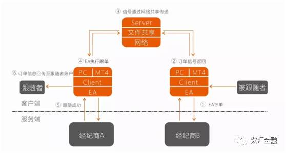 外汇交易概述,外汇交易具体内容