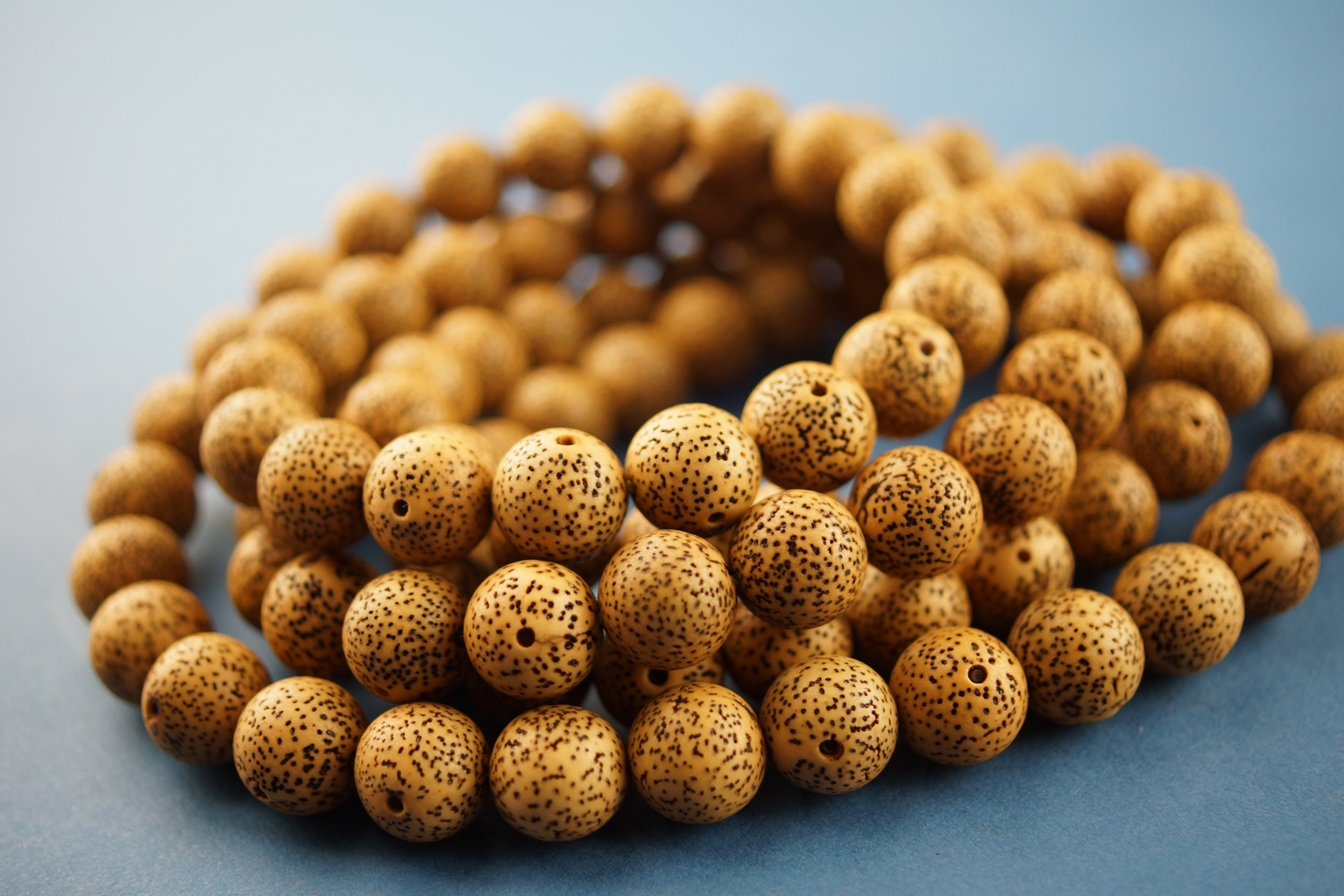 对号入座你是属于哪一类型,所有类型的菩提子