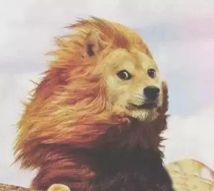 电商消费升级掉队者百丽能被“接盘侠”鼎晖拯救吗？