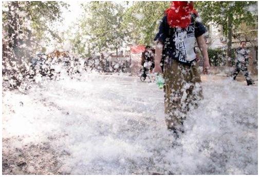 杨柳絮有哪些缺点不足及危害,杨柳絮是怎么造成的