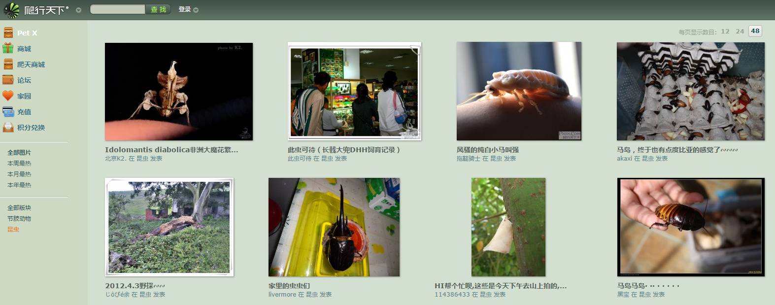 领会昆虫知识的网站,免费领会有趣的昆虫知识
