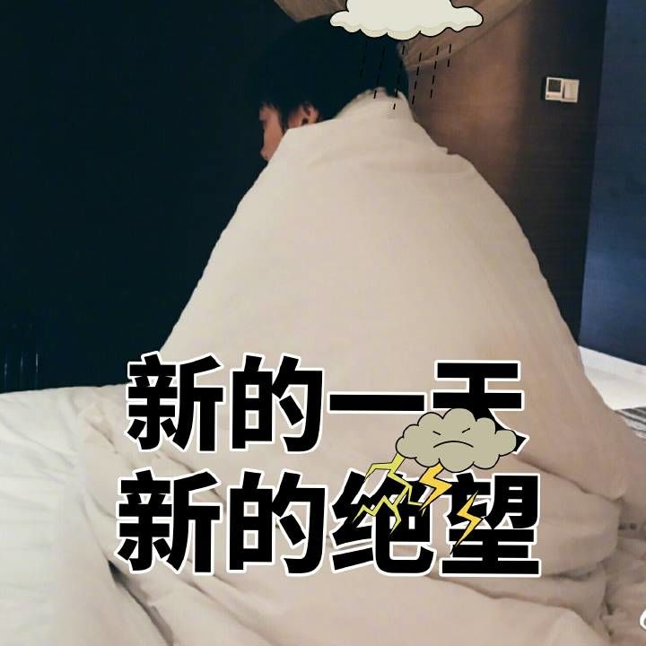 170508李易峰新书上线第五天没抢到书的蜜蜂收好表情包