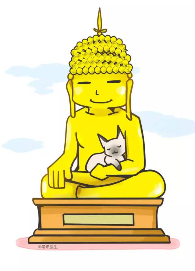 暹罗猫挖煤,挖煤队长暹罗猫