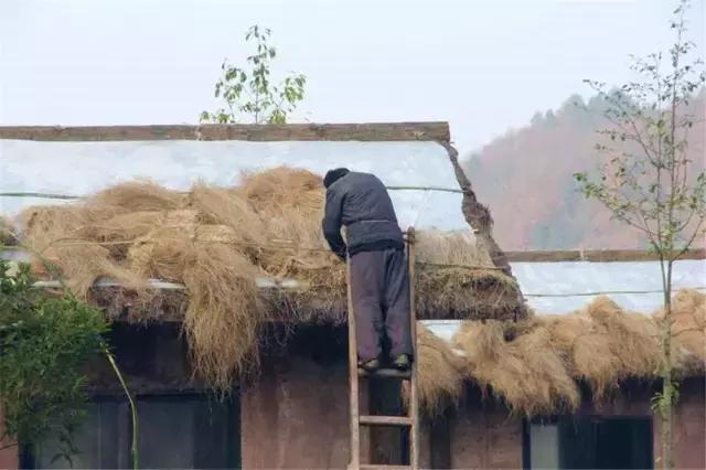 鍥涘窛閫氭睙绗竴缇庝汉,閫氭睙绗竴缇庝汉鏄皝