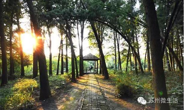 苏州最值得去的五个景点,苏州最值得去的10个景点排名