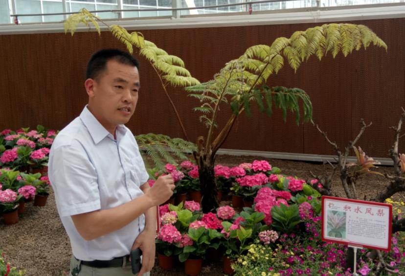 我为乡村振兴做贡献,我为乡村振兴发展做贡献