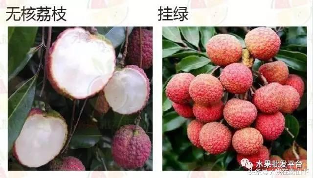 水果分类分为哪几类,超市水果分类表一览表