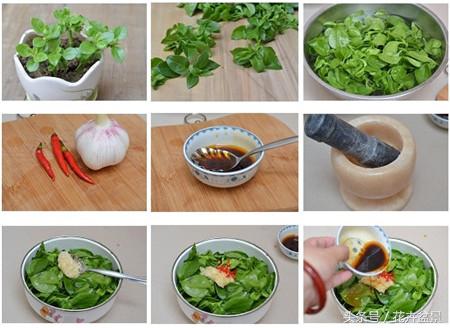 嘴馋了，摘盆花儿来尝尝，第一盆花卉佳肴就闻所未闻