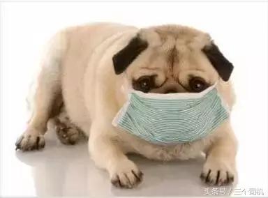 这事儿搞不清，你就真的是用绳命在开车