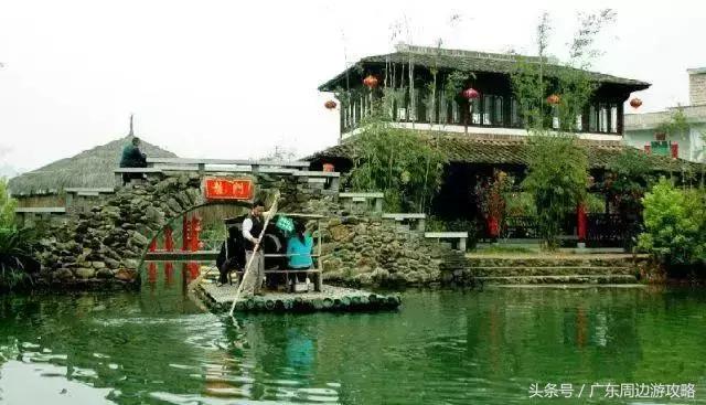 广东普罗旺斯花海,普罗旺斯的薰衣草紫色花海