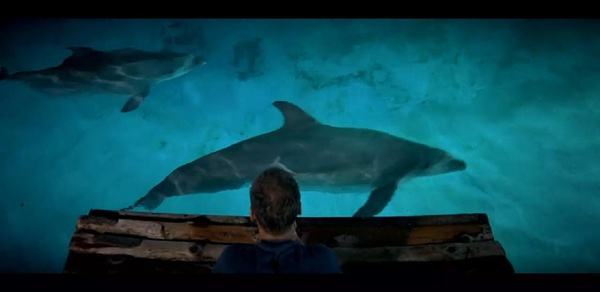 适合孩子看的八部动物电影,小朋友可以看的与动物有关的电影