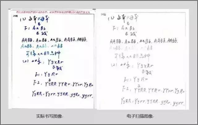 考生忘带证件,高考进考场需带哪些证件