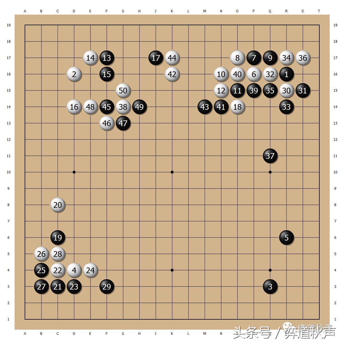 日本本因坊最终战现场视频直播,本因坊战井山裕太