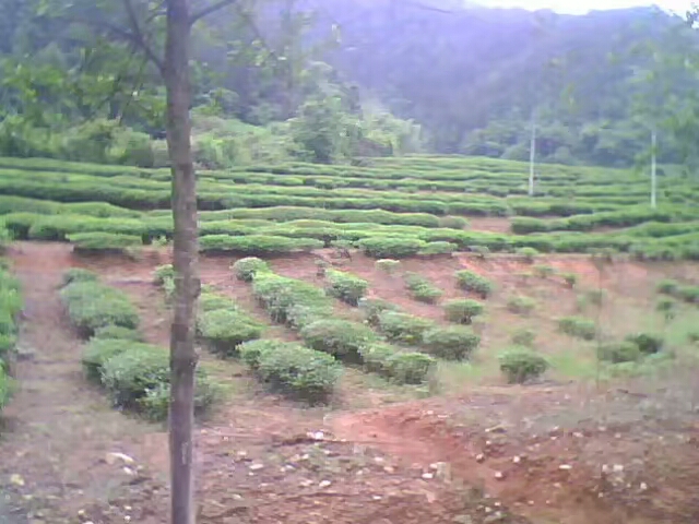 菱行（环中原骑行）5/21篇江西景德镇——浙江杭州