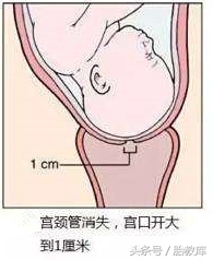 宫口开到十指到生需要多长时间,宫口开到十指是什么体验