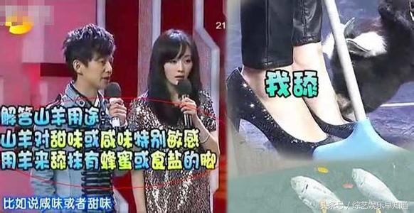 杨幂在明日之子上说的话,杨幂明日之子被调侃