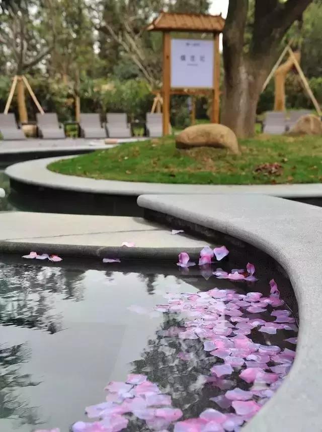 满客旅游｜毕业旅行：行遍江南清丽地，人生只合住湖州——太湖雷迪森欢迎您