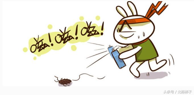 防治蟑螂药品,防治蟑螂最好的药