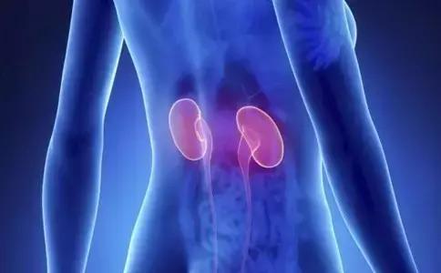 慢性肾炎肾功能正常饮食注意事项,慢性肾炎如何保护肾