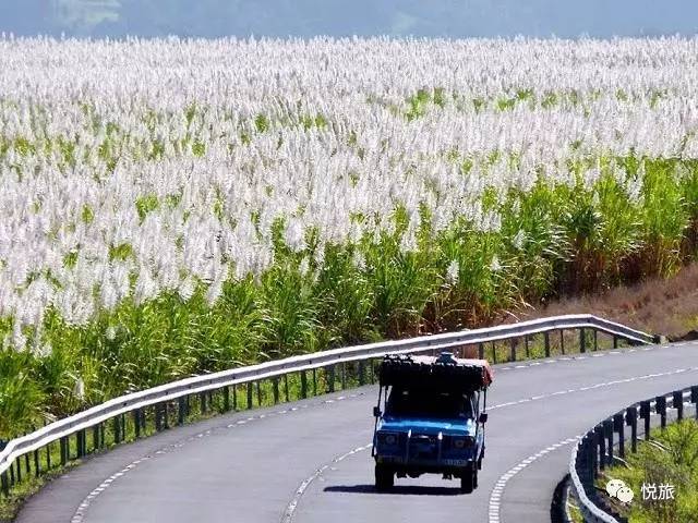 毛里求斯出境旅游攻略,刚去毛里求斯的人可以免签30天吗