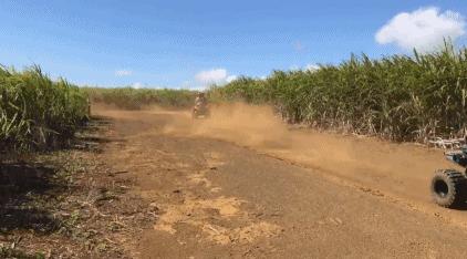 毛里求斯出境旅游攻略,刚去毛里求斯的人可以免签30天吗