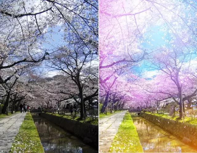 ps入门最常用的10个快捷键,ps新手快速入门参照系快捷键