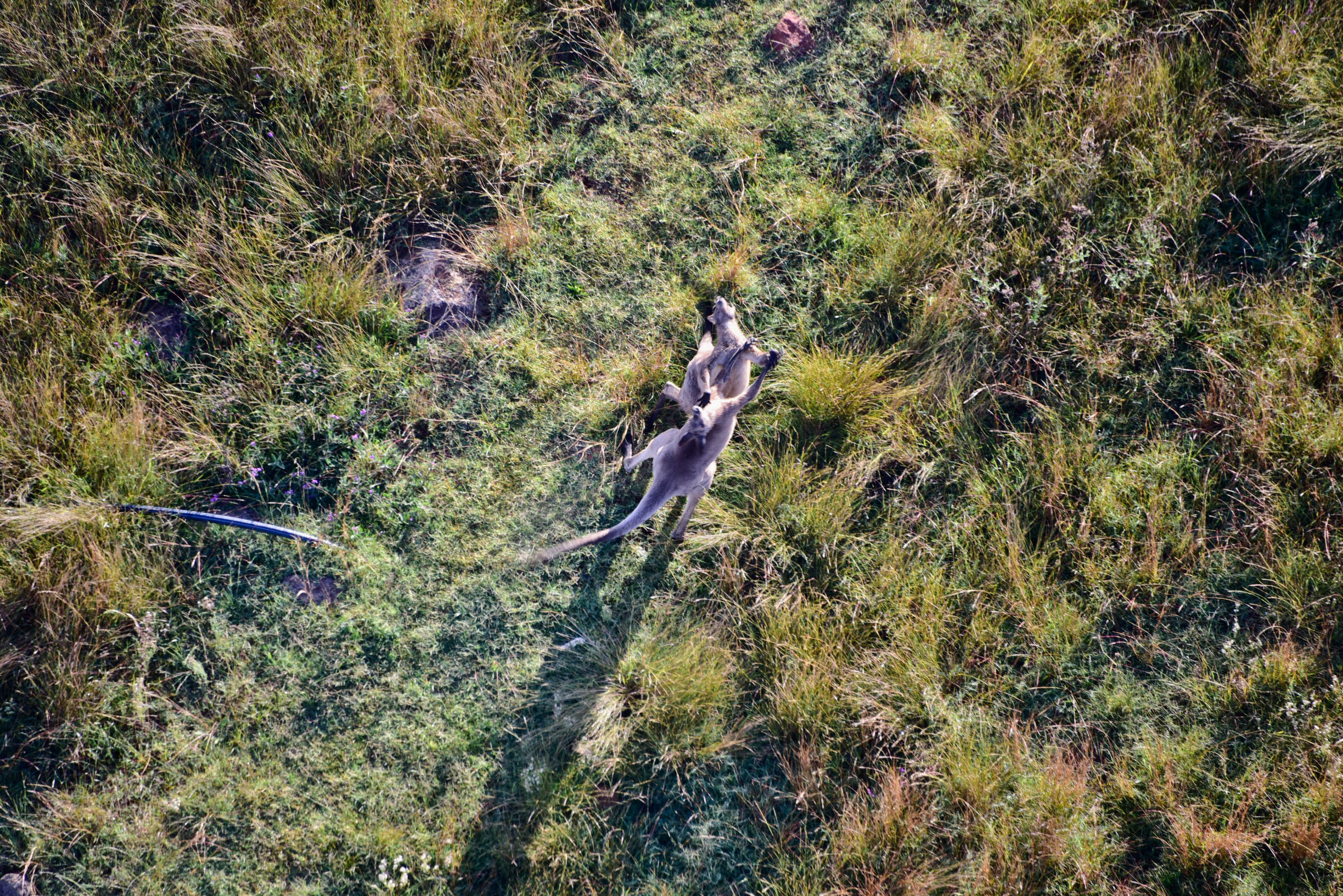 在猎人谷邂逅美酒和热气球