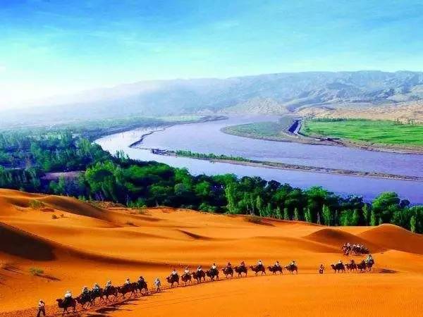 商机项目开发,商机招商项目