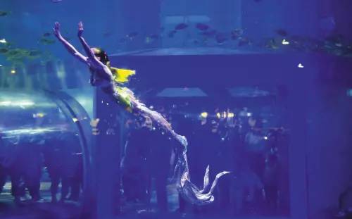 大连免门票景点攻略大全,大连免门票景区攻略大全