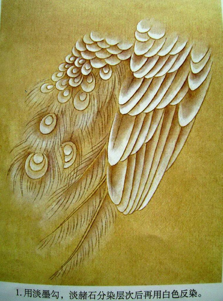 孔雀开屏的图片国画孔雀的画法,国画孔雀的画法图片