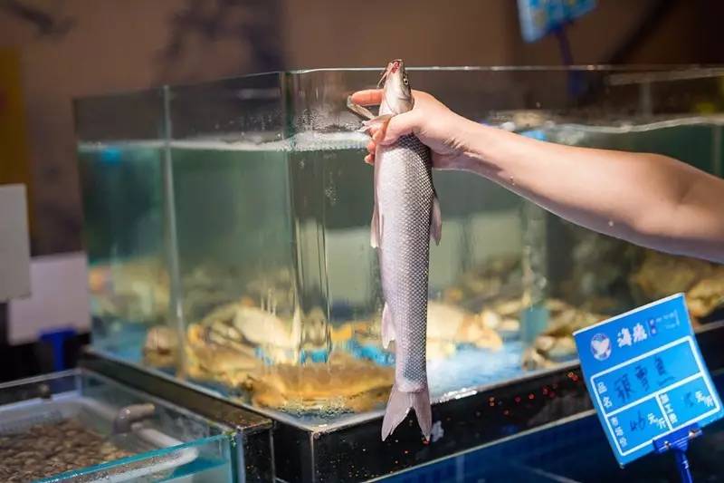 100元吃海鲜自助！不限量！敞开吃！红虾三文鱼象拔蚌银鳕鱼……我要把武林路这家海鲜渔市吃到空！
