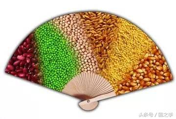 中国古时候讲的五谷丰登是哪五谷,五谷丰登社稷安怎么理解