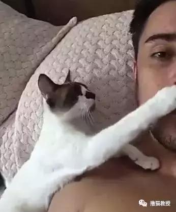 这样的叫床方式，有点一言难尽！