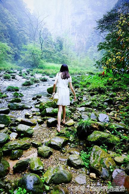 张家界旅游注意仙人跳,张家界旅游的注意事项