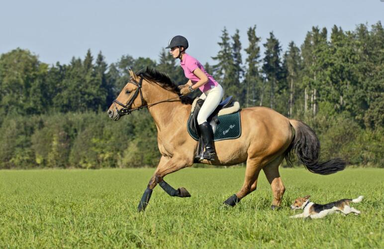 晒斑可以用激光祛斑吗,脸上有晒斑怎么调理淡化色斑